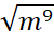 09004tzv-9fed-50x40.png