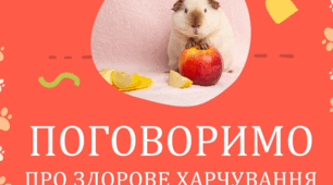 ПОГОВОРИМО ПРО ЗДОРОВЕ ХАРЧУВАННЯ