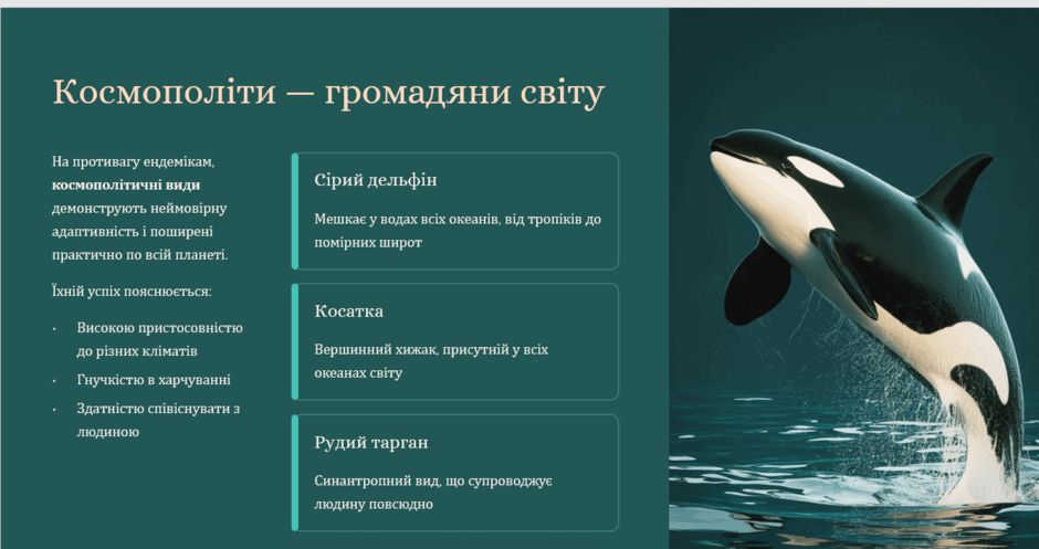 0900508p-594c-940x497.png