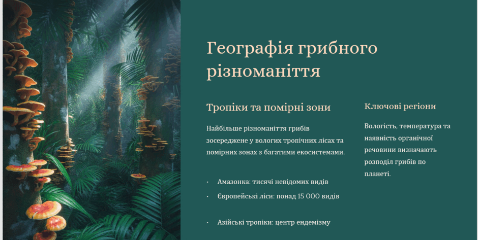 0900509g-3401-940x473.png