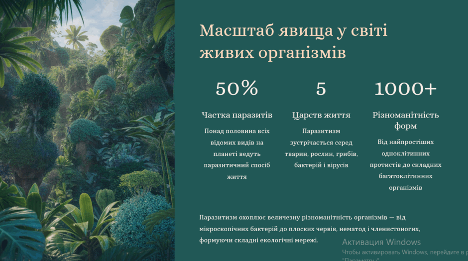 090050ae-9173-940x524.png