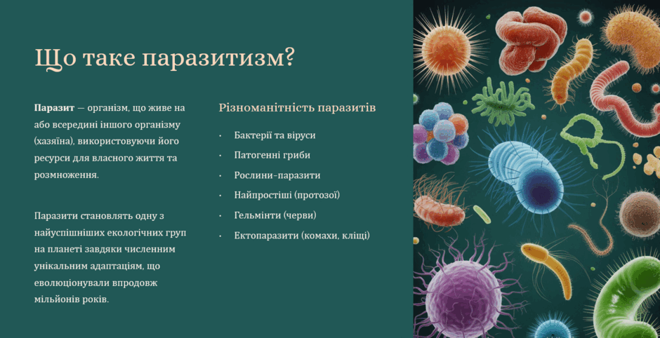 090050bc-1ae6-940x482.png