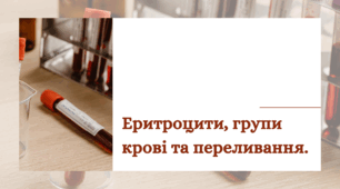 Презентація НУШ 8 клас "Еритроцити, групи крові та переливання."