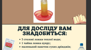 Дослід "Як ростуть дріжджі?"