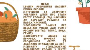 Дидактична гра з екологічного виховання: «Рослинка-насінинка».
