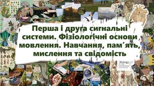 Перша і друга сигнальні системи. Фізіологічні основи мовлення. Навчання, пам’ять, мислення та свідомість