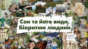 Сон та його види. Біоритми людини