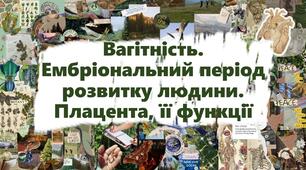 Вагітність. Ембріональний період розвитку людини. Плацента, її функції