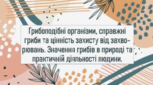 Грибоподібні організми, справжні гриби та цінність захисту від захворювань. Значення грибів в природі та практичній діяльності людини.
