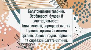 Багатоклітинні тварини.Особливості будови й життєдіяльності. Типи симетрії, зародкові листки. Тканини, органи й системи органів. Основні групи: первинні та справжні багатоклітинні.Багатоклітинні тварини.Особливості будови й життєдіяльності.