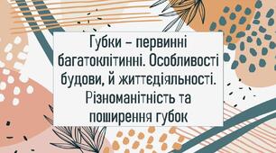 Губки – первинні багатоклітинні. Особливості будови, й життєдіяльності. Різноманітність та поширення губок