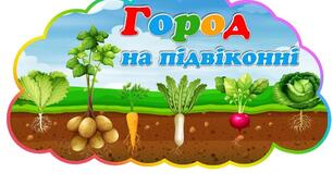 Міні-проєкт «Город на підвіконні» для середньої групи (4–5 років)