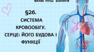 Презентація  до уроку  «§26.Система кровообігу. Серце: його будова і функції»  8клас НУШ