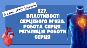 Презентація  до уроку  «§27. Властивості серцевого м’яза. Робота серця. Регуляція роботи серця» 8клас НУШ