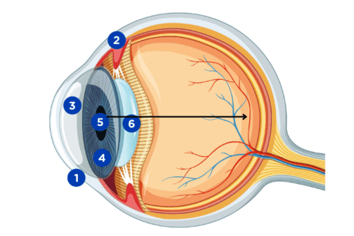 09005503-3bf8-513x343.png