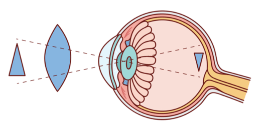 0900553c-8df7-526x254.png