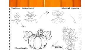 Аплікація до Дня гарбуза