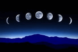 090059gh-7746-274x184.png
