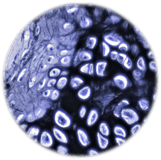 090059kb-4e93-320x319.png