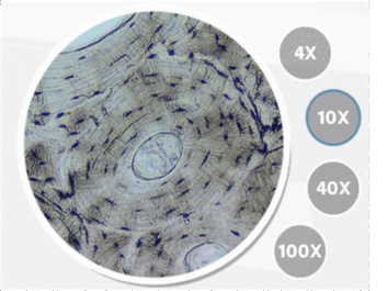 090059lk-d8ec-353x265.png