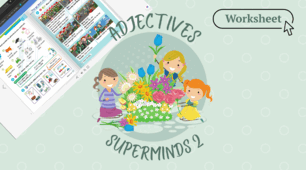 Adjectives. SuperMinds 2. Unit 2. p.23 Worksheet