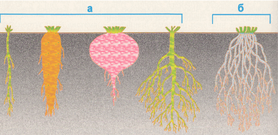 09005dxl-f07b-565x276.png