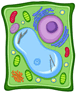 09005fx0-1d6f-79x100.png