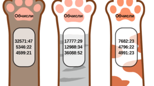 Ділення багаточифрових чисел