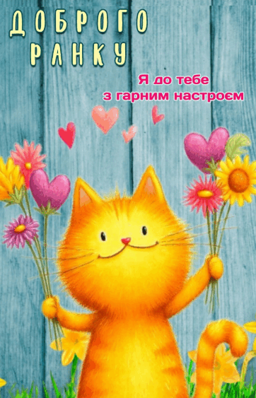 09005hi6-9e66-362x563.png