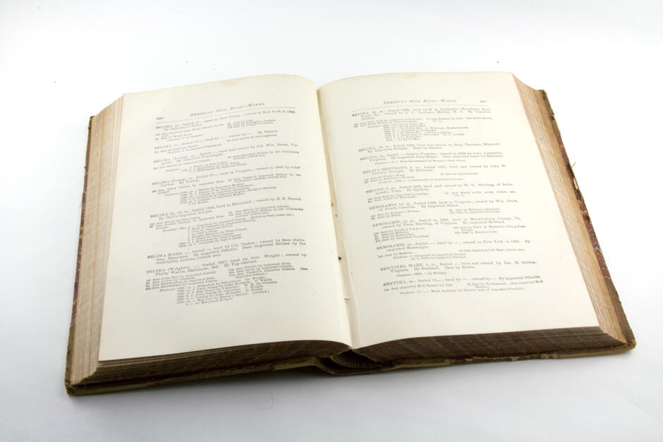 Книга — Викицитатник
