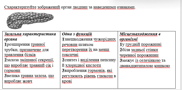09005hj1-321c-770x382.png