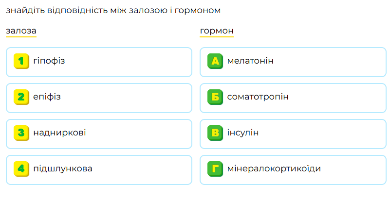 09005hzl-0676-801x412.png