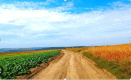 09005ie1-7410-260x158.png