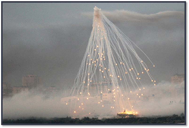 09005k9t-7113-804x547.png