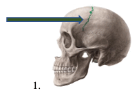09005ka2-cfa6-202x136.png