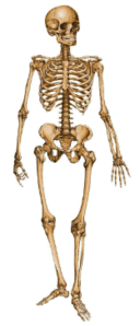 09005kcm-cd37-128x298.png