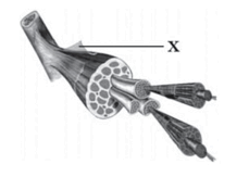 09005la4-1ad0-229x163.png
