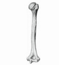 09005lfq-21f3-85x95.png