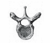 09005lg9-f31b-101x87.png