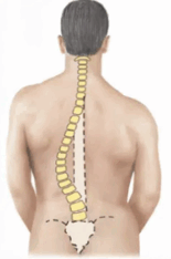 09005lnp-e261-155x234.png