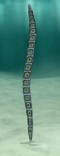 09005lo5-ab0d-197x512.png
