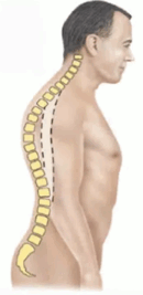 09005lo8-9c8b-130x267.png