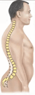 09005loy-900e-126x336.png
