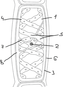 09005o1m-82e7-211x290.png