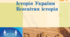 6 клас. Історія України. Всесвітня історія. Контроль навчальних досягнень за розділом 1 "Життя людей за первісних часів. Українські землі на початку історії людства".