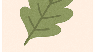 Використання МАК-карт на музичних заняттях у ЗДО