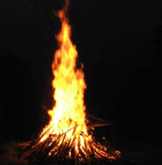 09005ufi-ff03-178x181.png
