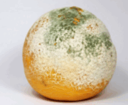 09005ugy-3d17-180x148.png