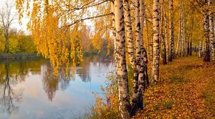 Суміжні кути