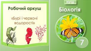 Робочий аркуш "Бурі і червоні водорості ". Біологія 7 клас НУШ